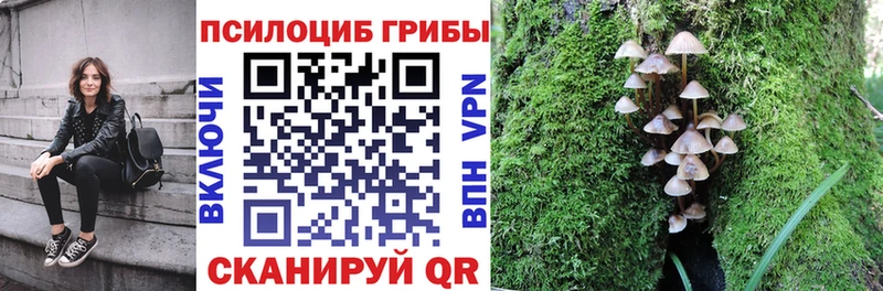 Псилоцибиновые грибы мицелий Фёдоровский
